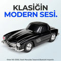 Wster WS-300SL Oto Muzik Calar