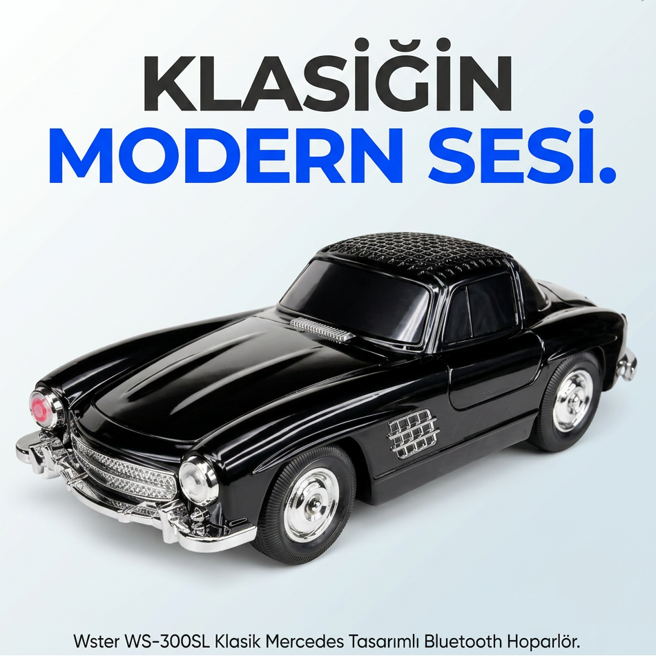 Wster WS-300SL Oto Muzik Calar